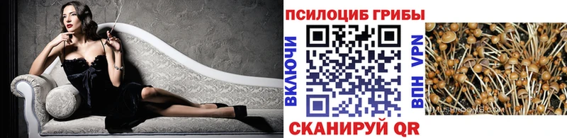 Галлюциногенные грибы Psilocybine cubensis  МЕГА ONION  Островной 